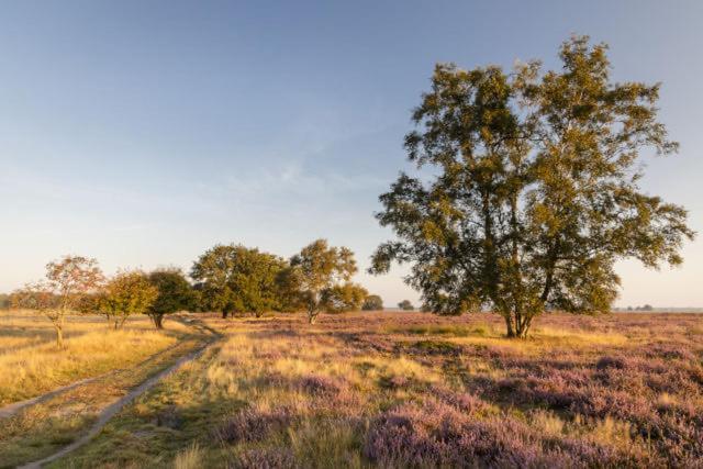 Bed & Breakfast - Appartement D'Ambacht Borger Buitenkant foto